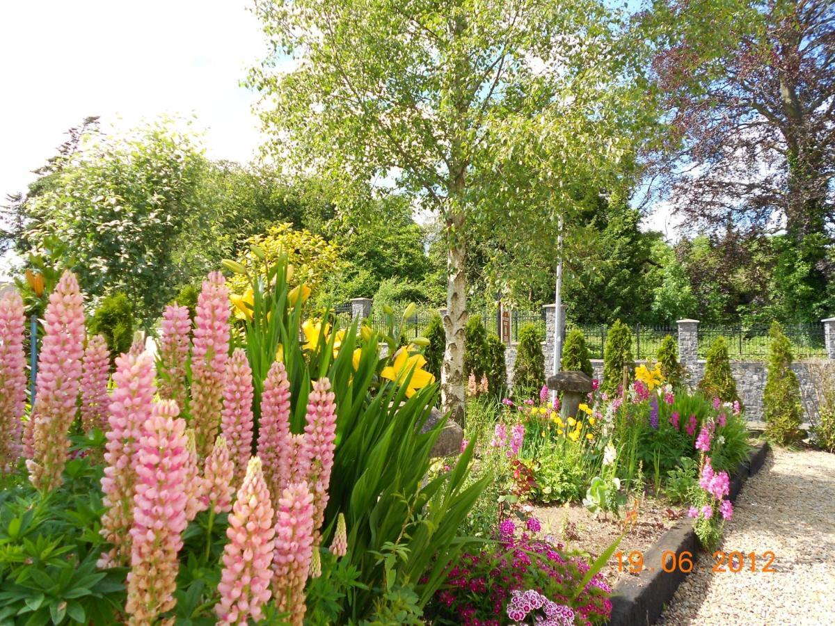 The Yellow House B&B Navan Luaran gambar