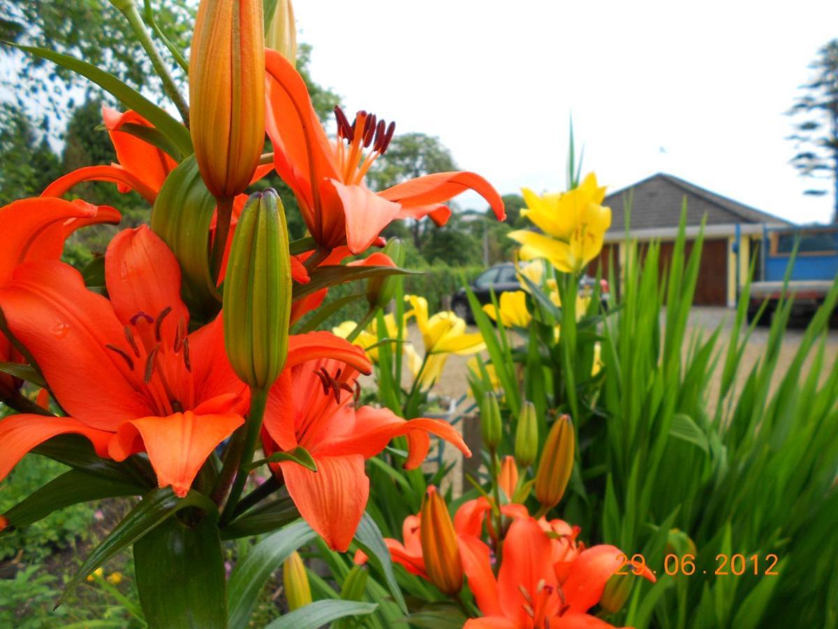 The Yellow House B&B Navan Luaran gambar